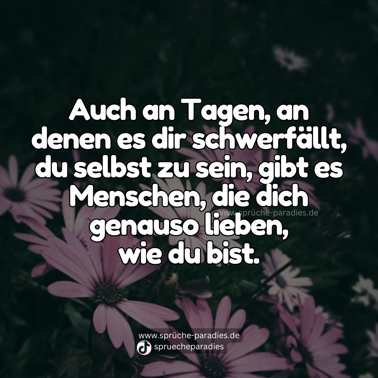 Auch an Tagen